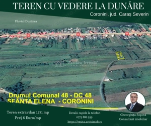 Coronini, Teren Drept, Vedere la Dunare, 6 Euro Mp, Negociabil