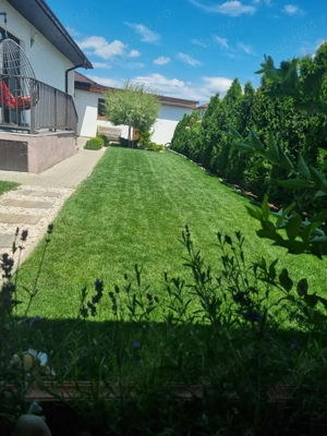 Casa 3 camere la cheie mobilata si utilată,110mp,370mp teren - Sancraiu de Mures - imagine 10