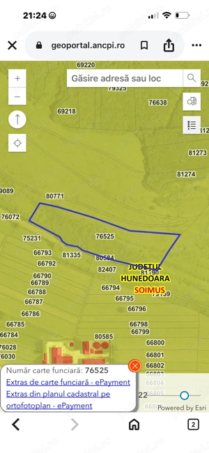 Teren extravilan pășune Soimus 