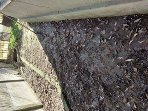 Casa batranesca in Ovidiu centru