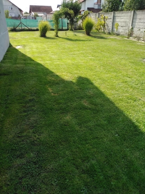 Casă de vânzare Făget (Colonia Mică)  - imagine 5