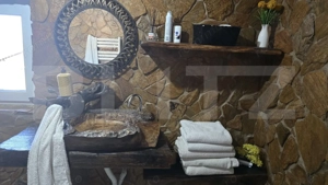 Casa 5 camere 259 mp, 2800 mp teren - Culciu Mic - imagine 11