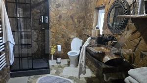 Casa 5 camere 259 mp, 2800 mp teren - Culciu Mic - imagine 12