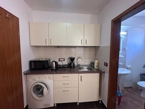 Proprietar! Inchiriez imobil 1 Camera+centrala termica. Pret 270 euro - imagine 2