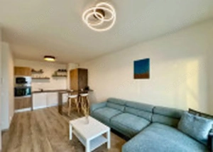 apartament cu 2 camere de vanzare, semidecomandat, în zona Berceni, Sector 4 - imagine 3