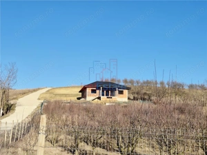 Casa individuala cu verere frumoasa