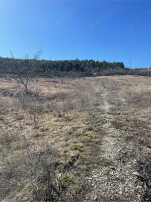 De vanzare 2900mp teren intravilan - imagine 4