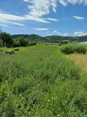 Particular, vând teren intravilan în comuna Bogdanesti, județul Bacău - imagine 2