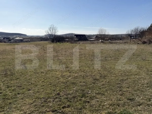 Teren intravilan in localitatea Hereclean in suprafata de 5800 mp - imagine 2