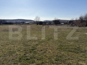 Teren intravilan in localitatea Hereclean in suprafata de 5800 mp - imagine 3