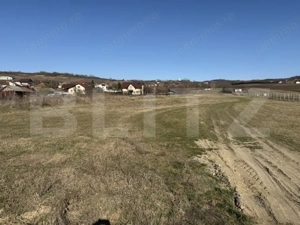 Teren intravilan in localitatea Hereclean in suprafata de 5800 mp - imagine 8