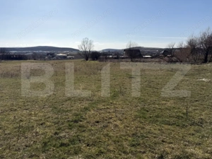 Teren intravilan in localitatea Hereclean in suprafata de 5800 mp - imagine 4