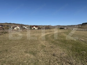 Teren intravilan in localitatea Hereclean in suprafata de 5800 mp - imagine 7