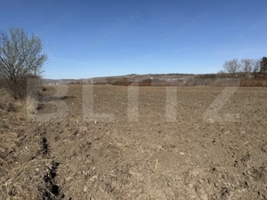 Teren extravilan in suprafata de 4000 mp in loc. Hereclean - imagine 3