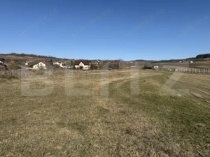 Teren intravilan in localitatea Hereclean in suprafata de 5800 mp - imagine 6