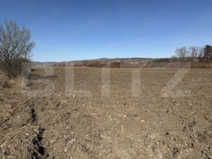 Teren extravilan in suprafata de 4000 mp in loc. Hereclean - imagine 2