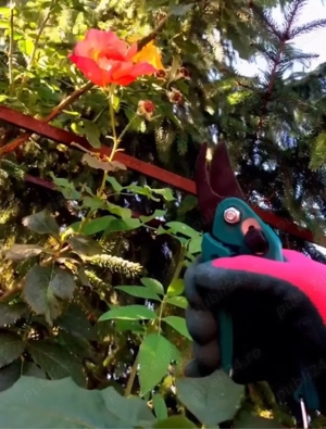 Execut servicii întreținere grădină