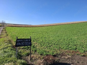 Teren de Vanzare