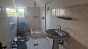 INCHIRIERE Casa individuala D + P + E + M cu 8 Camere 5 Bai 750 mp Teren CETATE - imagine 15