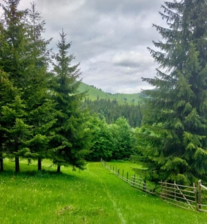 Vand teren panoramic 4097 mp - Punct Bardos, Bicaz - Chei - imagine 2