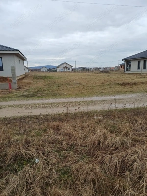 teren intravilan Alparea - imagine 6