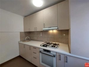 Apartament renovat, parter, zona P-ta Mihai Viteazul - imagine 6