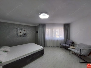 Apartament renovat, parter, zona P-ta Mihai Viteazul - imagine 13