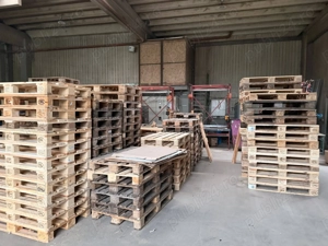 Muncitor reparat paleti Germania 