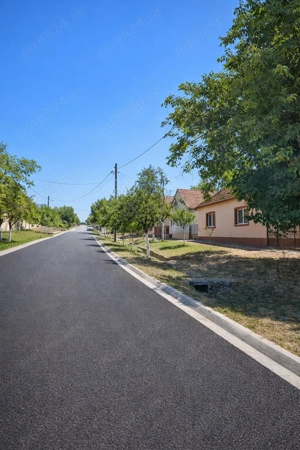 Teren intravilan panoramic de vânzare   Buzad, Timiș - imagine 4