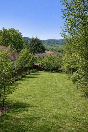 Teren intravilan panoramic de vânzare   Buzad, Timiș - imagine 6