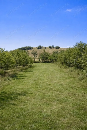 Teren intravilan panoramic de vânzare   Buzad, Timiș - imagine 7