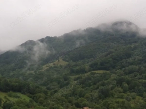 Teren cu Livadă pentru cabană  - imagine 5