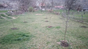 Teren cu Livadă pentru cabană  - imagine 4