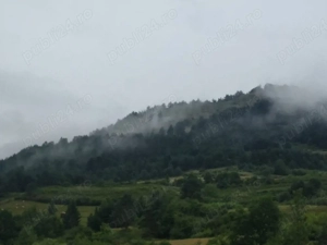 Teren cu Livadă pentru cabană  - imagine 6