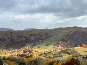 Teren cu Livadă pentru cabană  - imagine 8