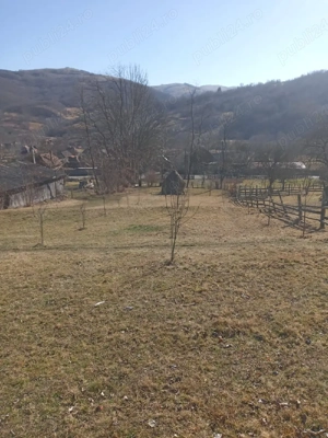 Teren cu Livadă pentru cabană  - imagine 9