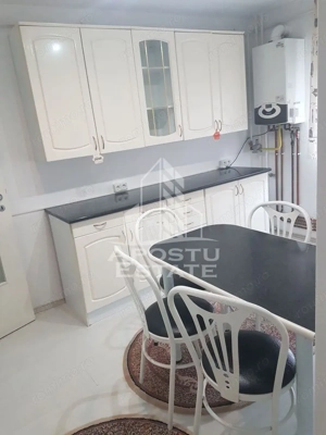 Apartament 2 camere de inchiriat,zona Steaua-Timisoara - imagine 3