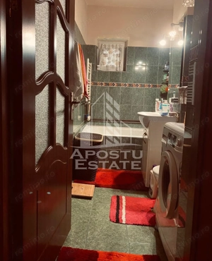 Apartament cu 1 camera,decomandat, centrala proprie,Buziasului - imagine 3