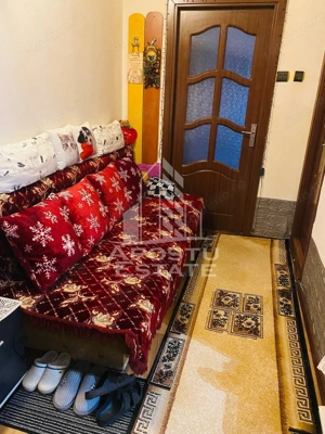 Apartament cu 1 camera,decomandat, centrala proprie,Buziasului - imagine 5