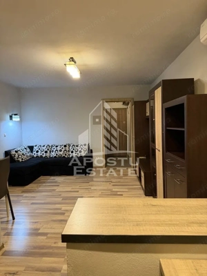 Apartament 1 Camera,Timisoara,Take Ionescu,Centrala Proprie,AC