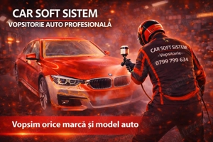 Daune auto RCA - imagine 2