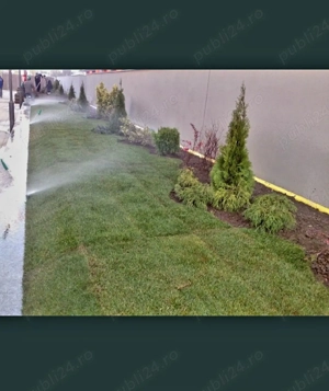 Amenajari gradini. Gazon, tuia,copaci fructife