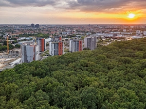 3 camere, pădure, Ready to Move - imagine 14