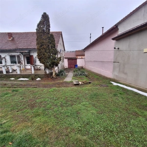 Bocsa Montana, Casa mare la strada principala - imagine 4