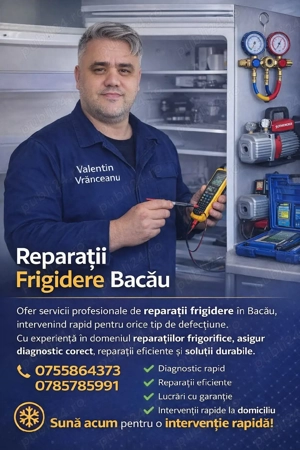 Reparații Frigidere Bacau 