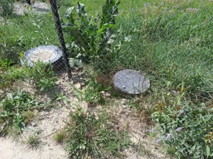 Vând teren intravilan 1651m2 în Vama Buzăului  - imagine 5