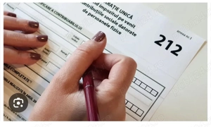 Servicii de contabilitate-declaratie unica