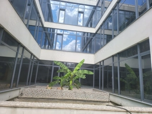 Angajăm personal contabilitate primară