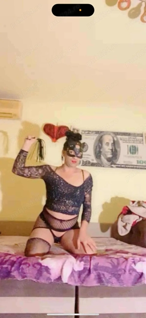 transexula doar show web