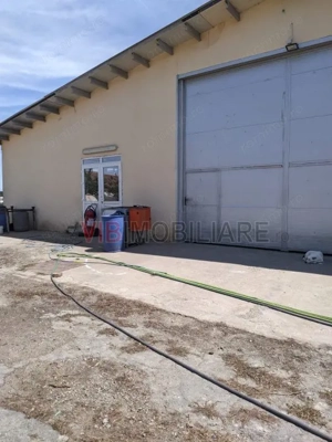 Ferma Zootehnică Mixtă – Cernateaz, Timiș | 9,5 ha | Hale Moderne, Casă 2019, Utilități Industriale - imagine 6